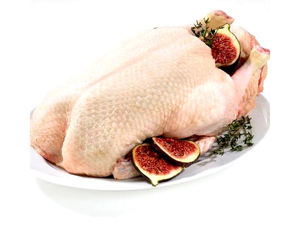 鸭肉