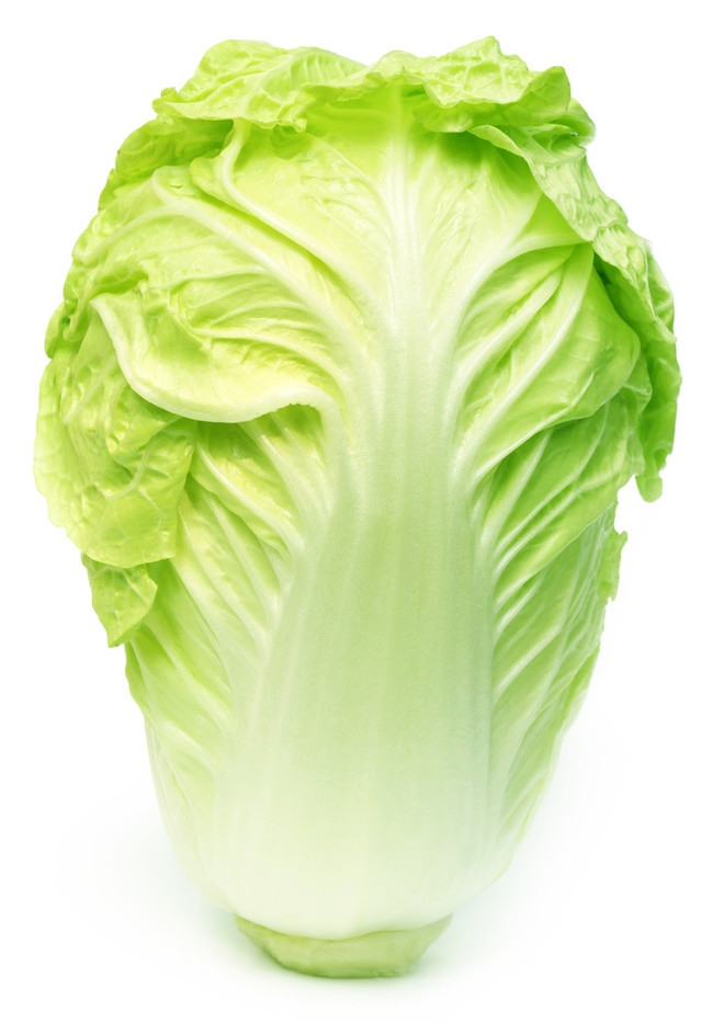 白菜