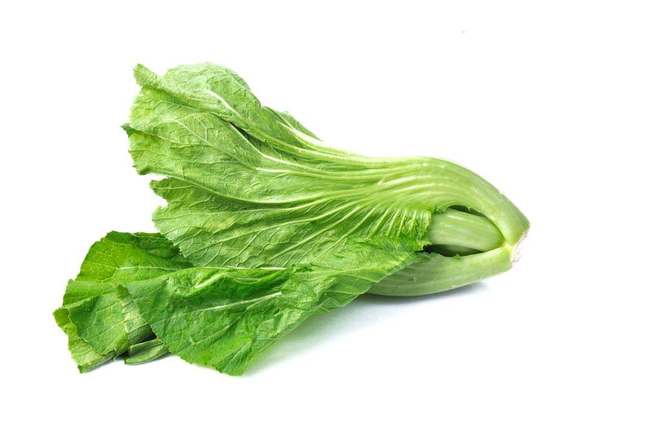 介菜