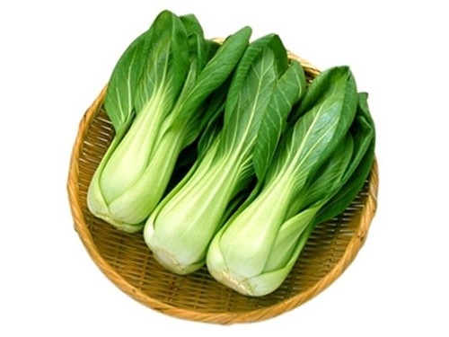 上海青