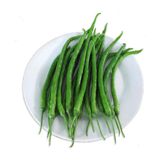 长尖椒