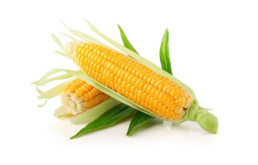 玉米